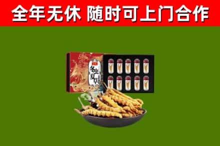 莱芜烟酒回收冬虫夏草礼盒.jpg